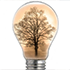 Innovation Basics: Image of lightbulb